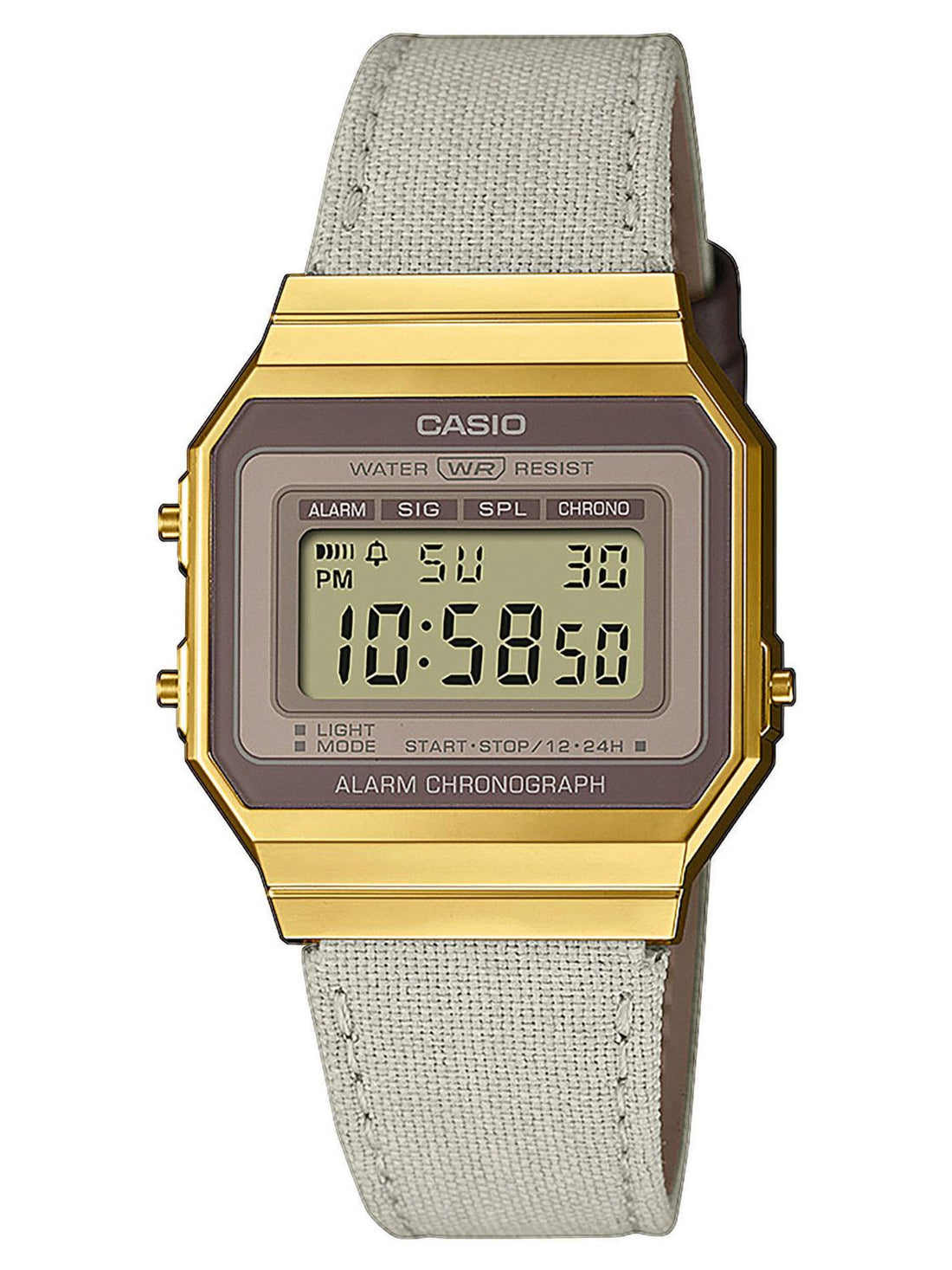  Casio Vintage Watches for Women
